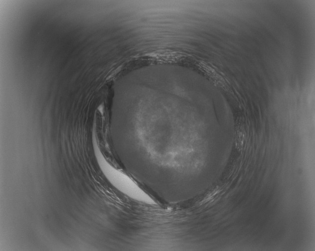 X0000082711010200702161810