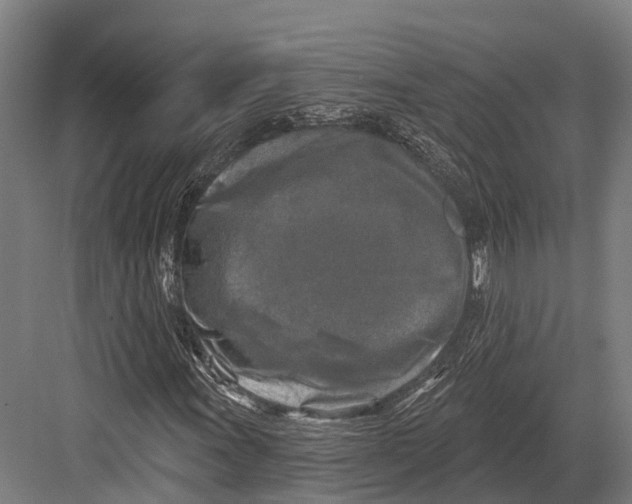 X0000082711011200702161810