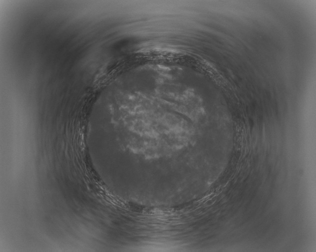 X0000082711013200702161810