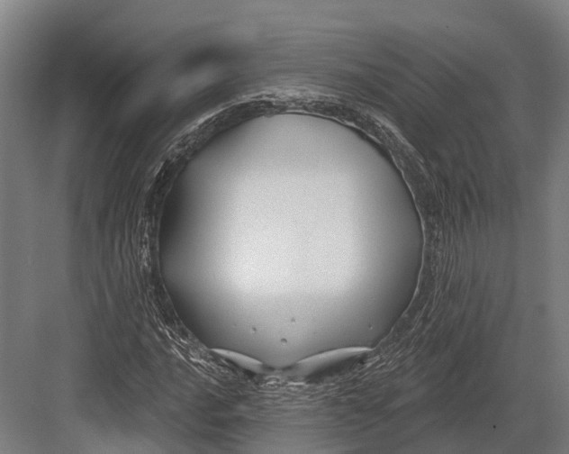 X0000082711016200702161810