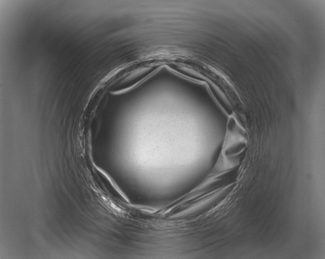 X0000082711018200702161810