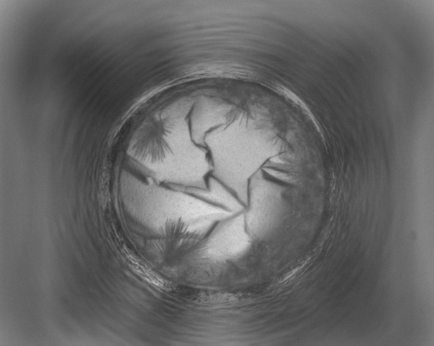 X0000082711019200702161810