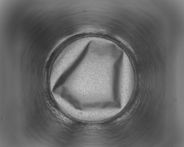 X0000082711021200702161810