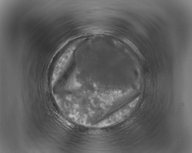 X0000082711023200702161810