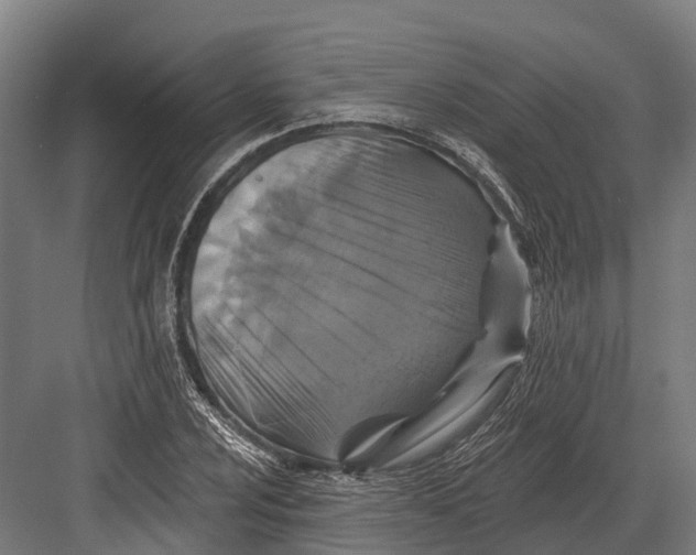 X0000082711024200702161810