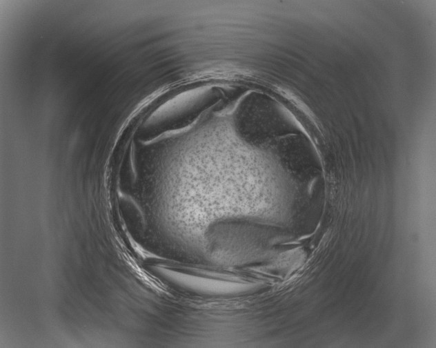 X0000082711026200702161810