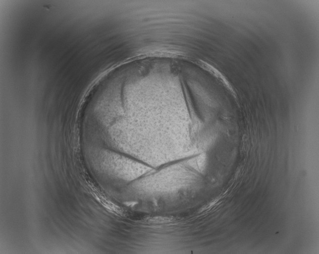 X0000082711027200702161810