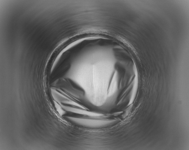 X0000082711029200702161810