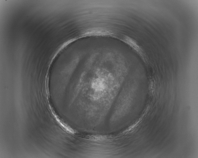 X0000082711030200702161810