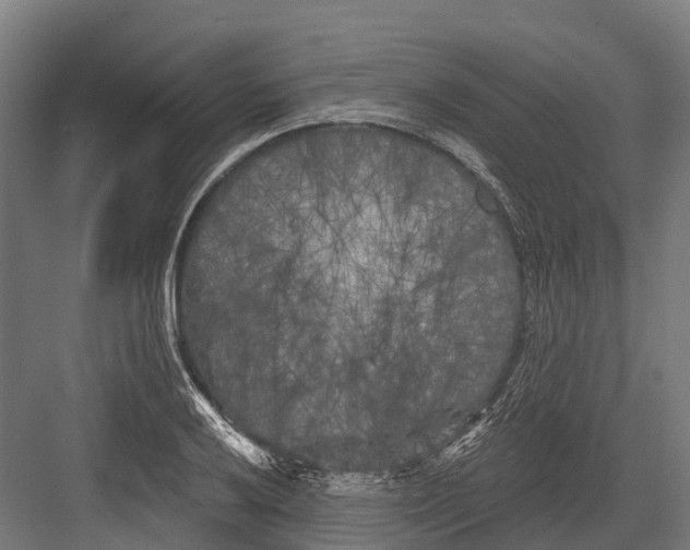 X0000082711032200702161810