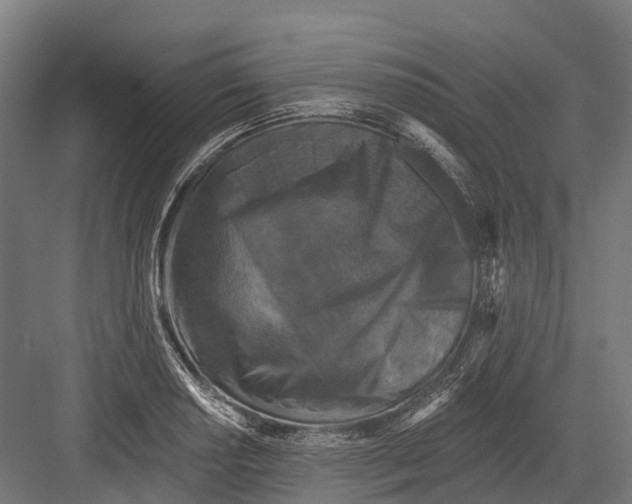 X0000082711034200702161810