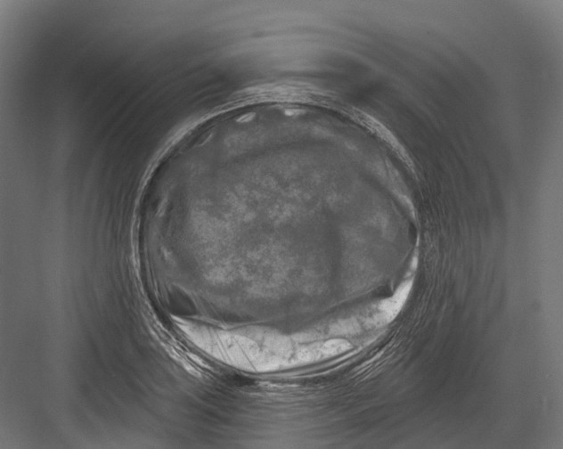 X0000082711035200702161810