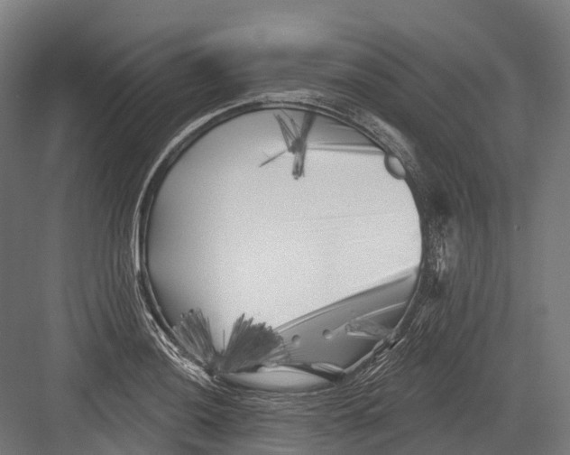 X0000082711036200702161810