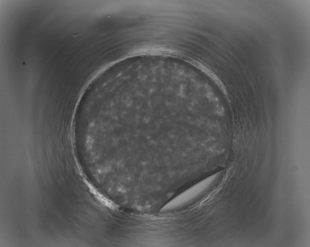 X0000082711037200702161810