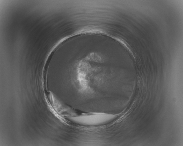 X0000082711038200702161810