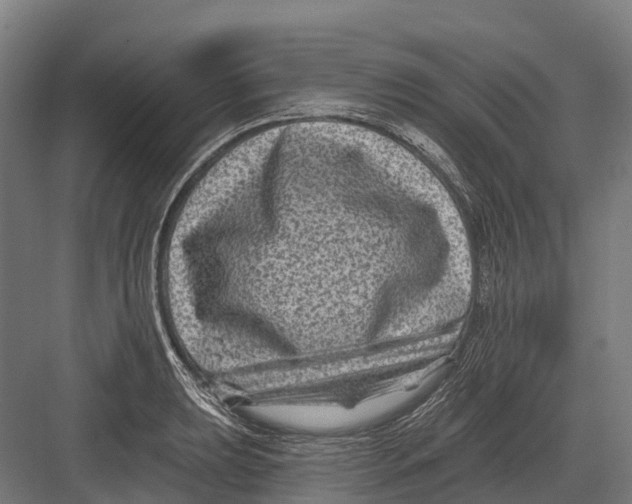 X0000082711039200702161810