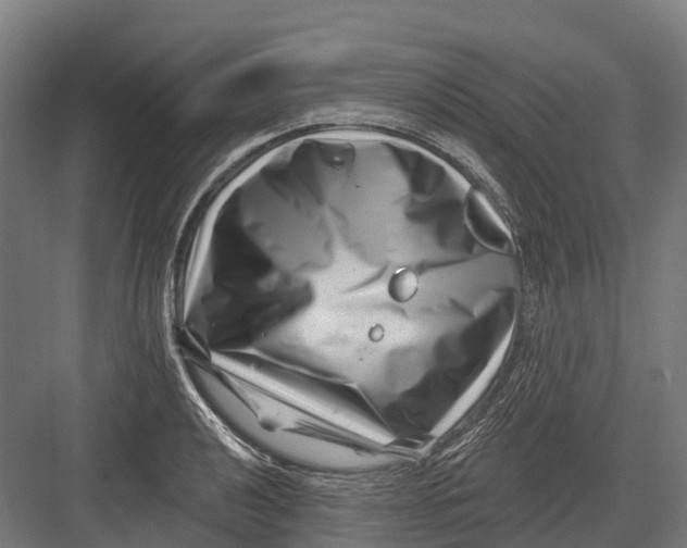 X0000082711040200702161810