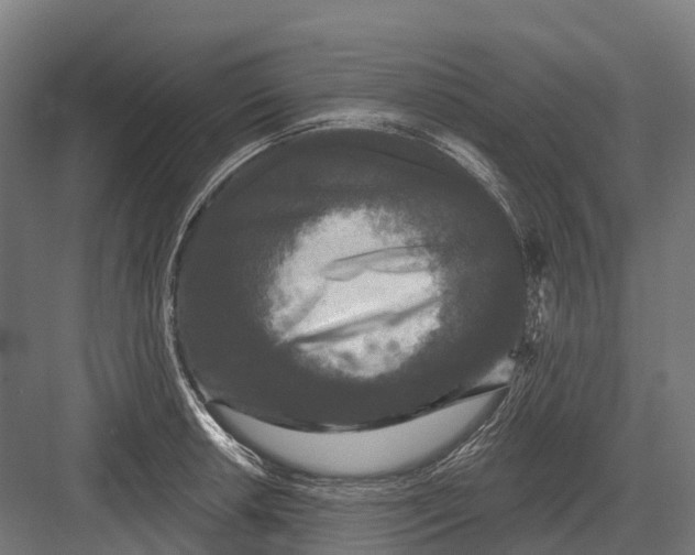 X0000082711042200702161810