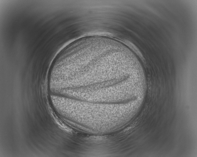 X0000082711044200702161810