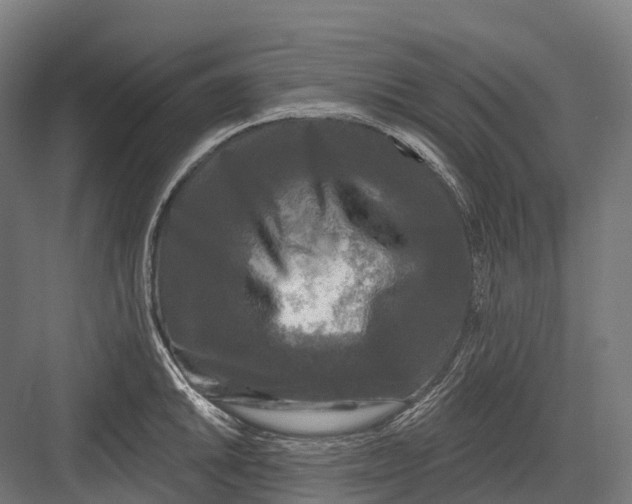 X0000082711046200702161810