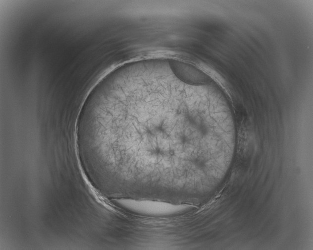 X0000082711047200702161810