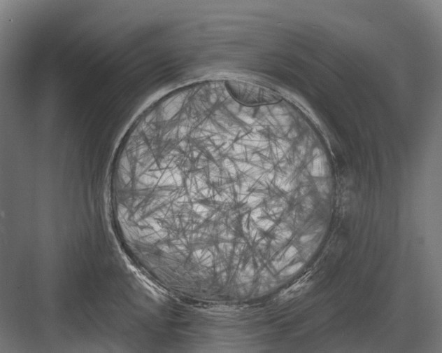 X0000082711048200702161810