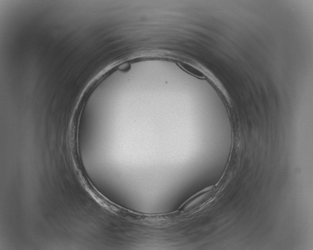 X0000082711053200702161810