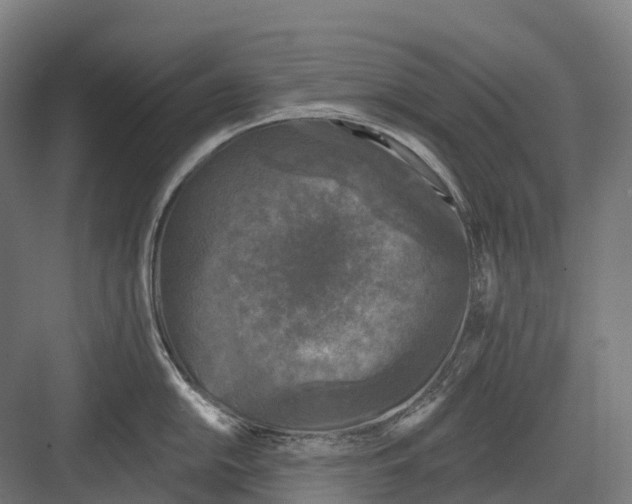 X0000082711054200702161810