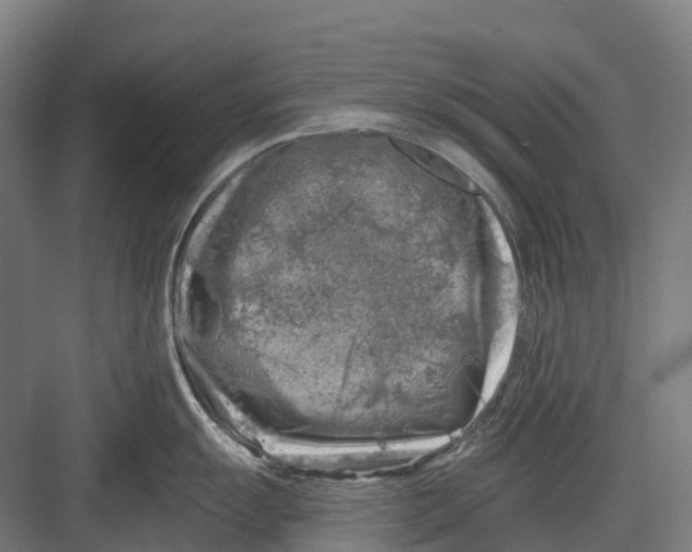 X0000082711055200702161811