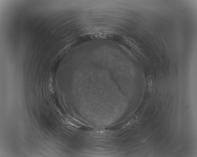 X0000082711060200702161810