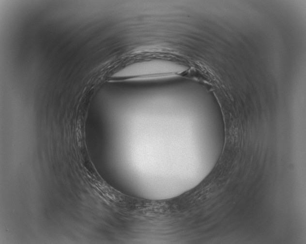 X0000082711062200702161810