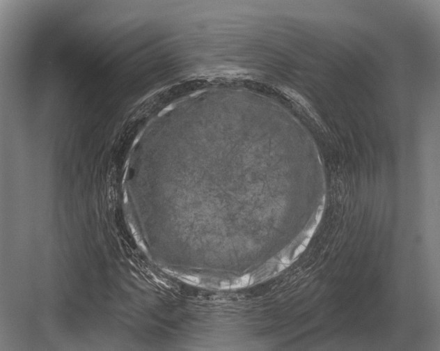 X0000082711063200702161810