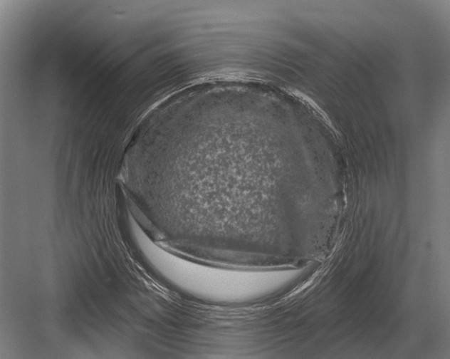 X0000082711065200702161810