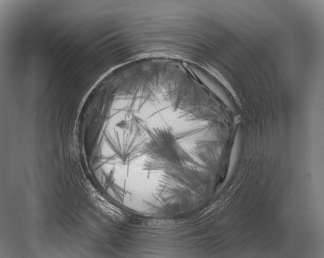 X0000082711068200702161810