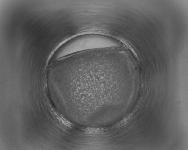 X0000082711069200702161810