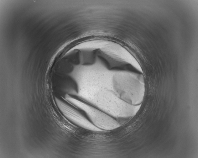 X0000082711070200702161809