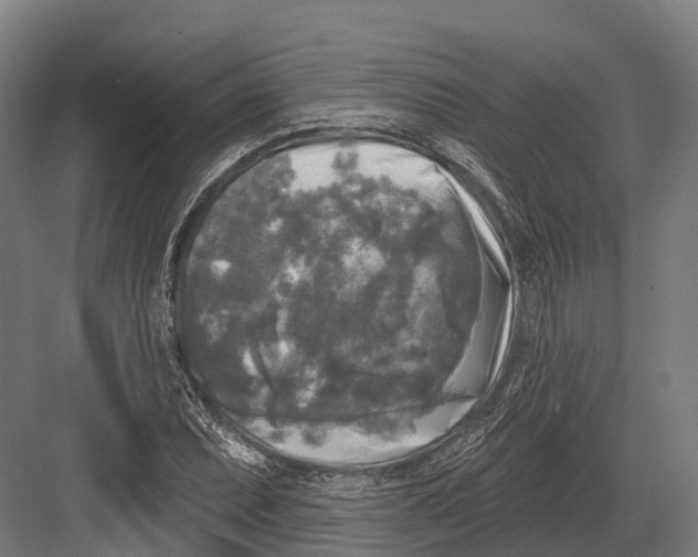 X0000082711071200702161809