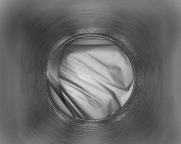 X0000082711073200702161809