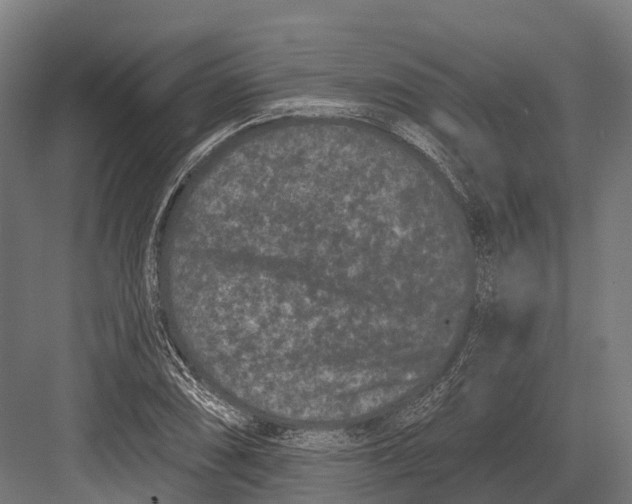 X0000082711074200702161809