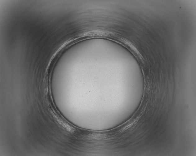 X0000082711075200702161809