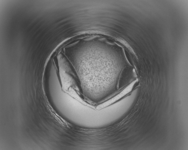 X0000082711076200702161809