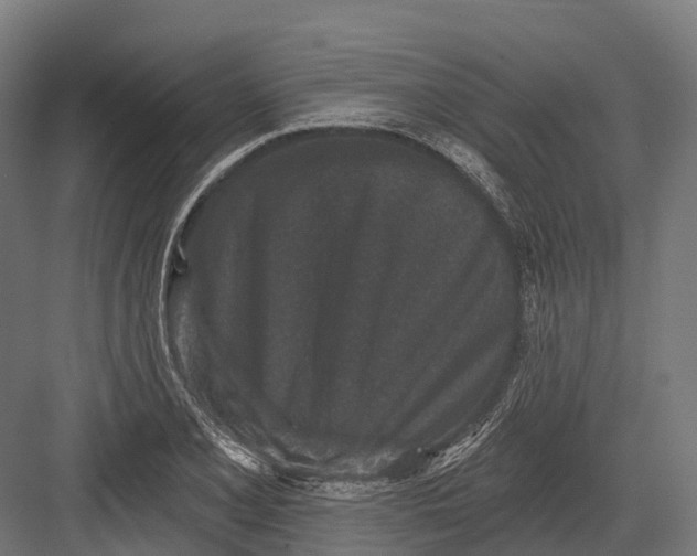 X0000082711077200702161809