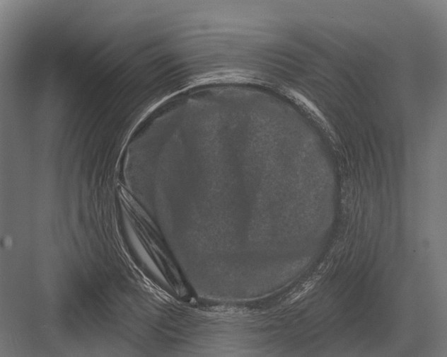 X0000082711081200702161809