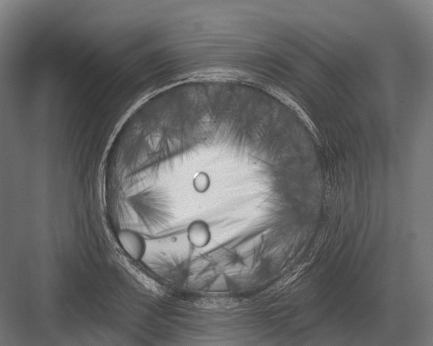 X0000082711083200702161809