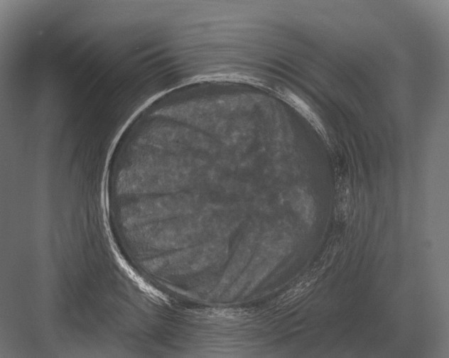 X0000082711084200702161809