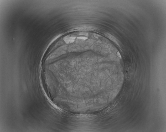 X0000082711087200702161809