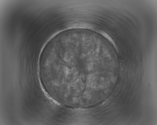 X0000082711088200702161809