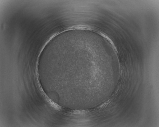 X0000082711091200702161809