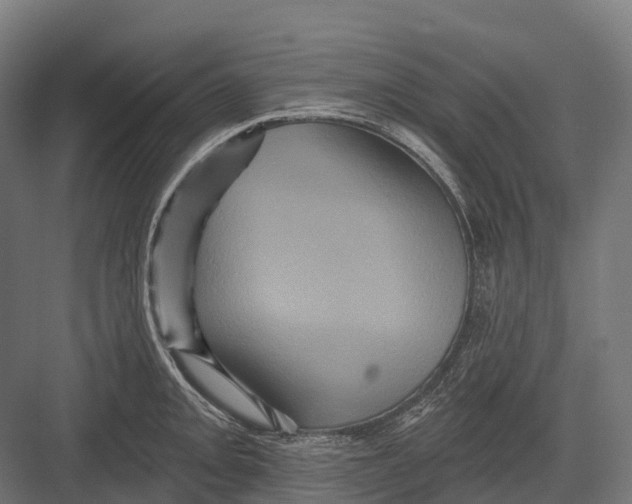 X0000082711093200702161809