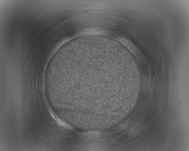 X0000082711094200702161809